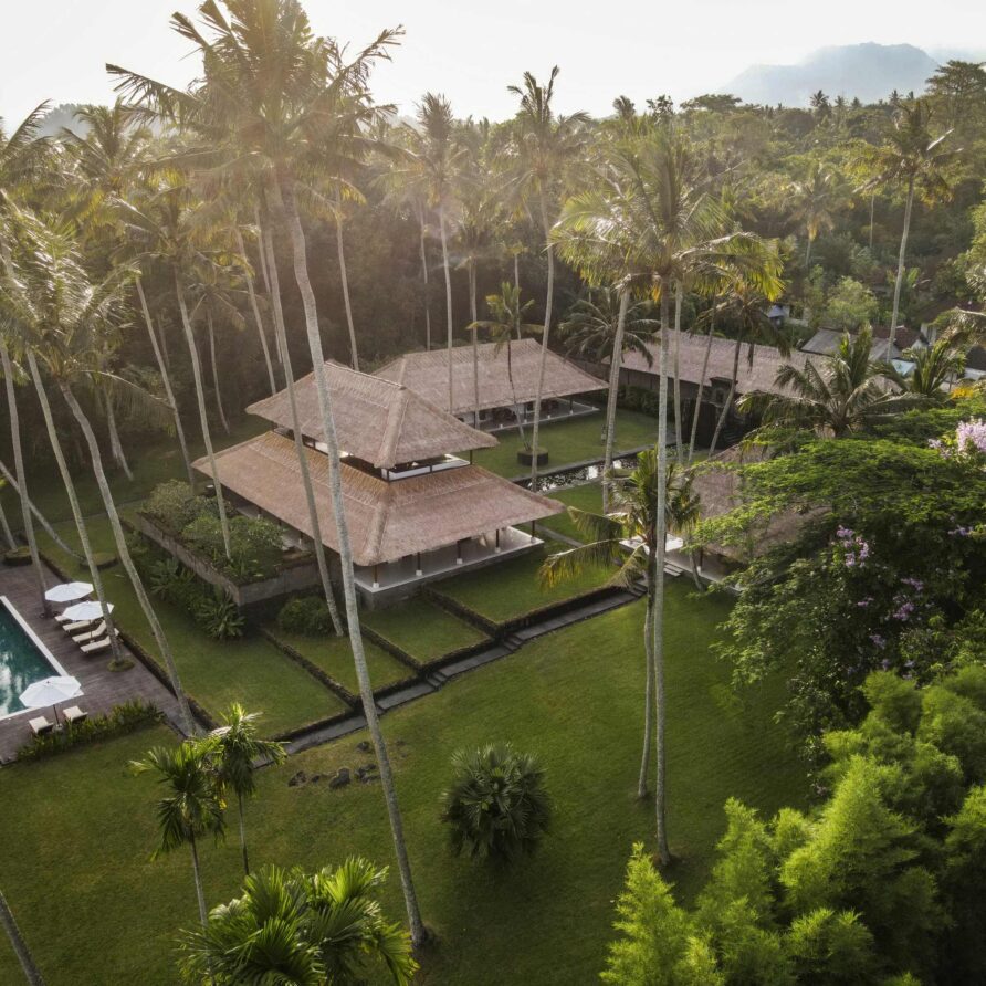 Wangi Felixe - Drone