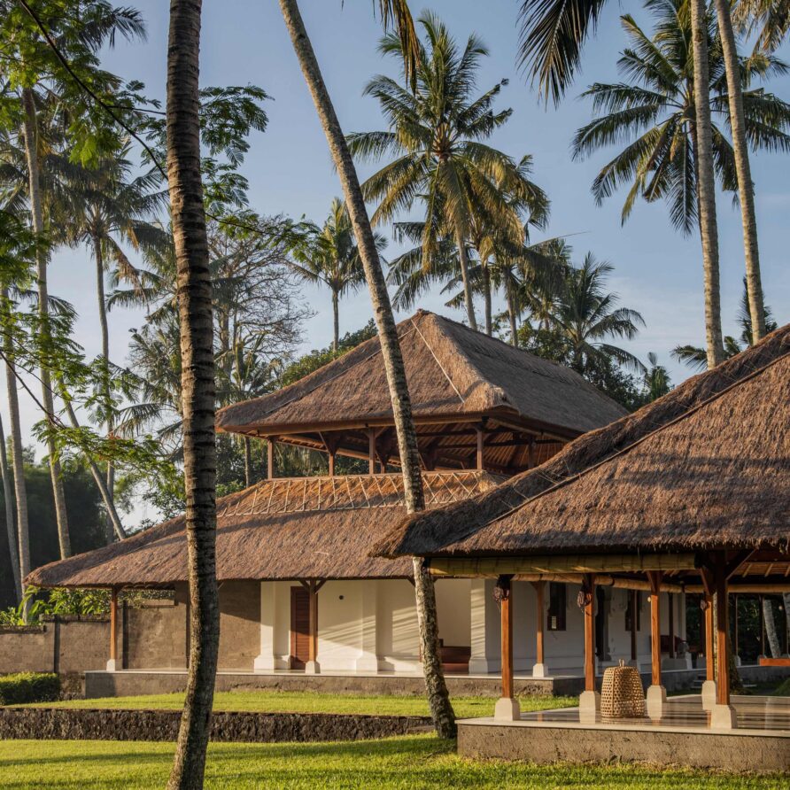 Wangi Felixe - Garden