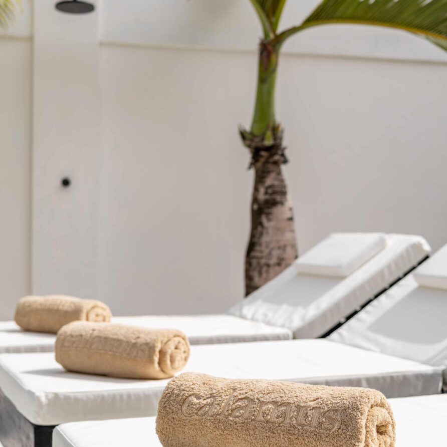 Villa Calamus, Canggu, Bali